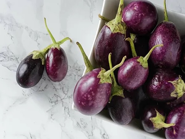 تصویر 1 از فروش بادمجان ریز قلمی + قیمت خرید به صرفه